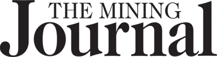 website logo